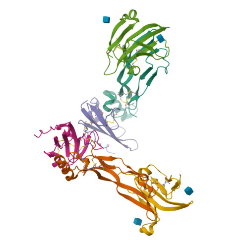ACE-031 molecular structure